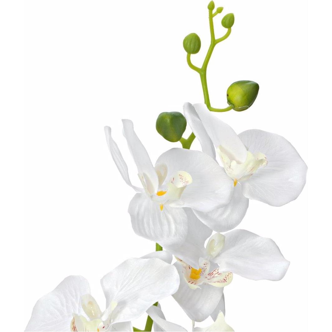 Thumbnail - Europalms, Kunstpflanzen, Orchidee (80 cm)