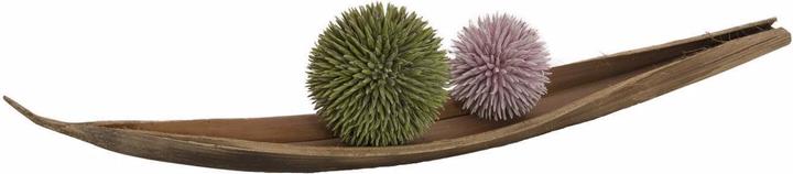 Immagine prodotto Europalms Palla di succulente (20 cm)