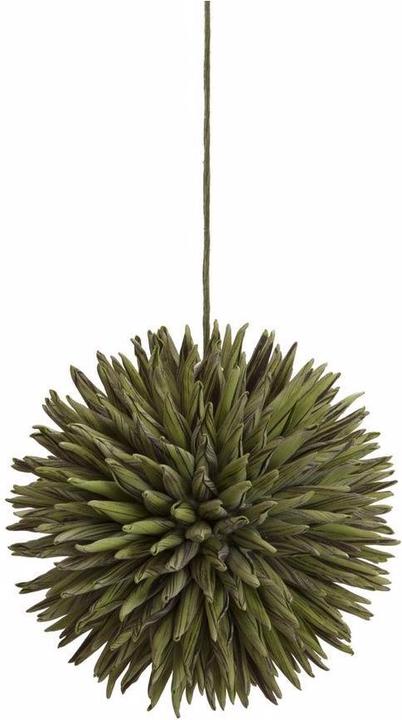 Immagine prodotto Europalms Palla di succulente (16 cm)