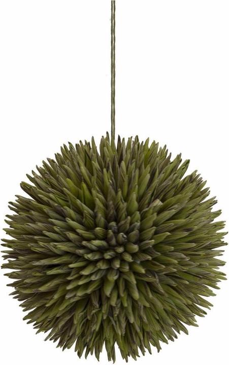 Immagine prodotto Europalms Palla di succulente (20 cm)