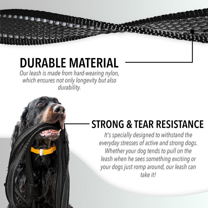 Produktbild Bluzelle Hundeleine (XL, Hund, Spazieren)