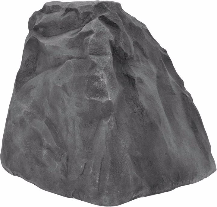 Actual product image Europalms Celtic