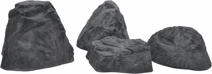Actual product image Europalms Celtic