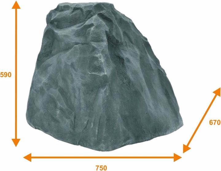 Actual product image Europalms Celtic