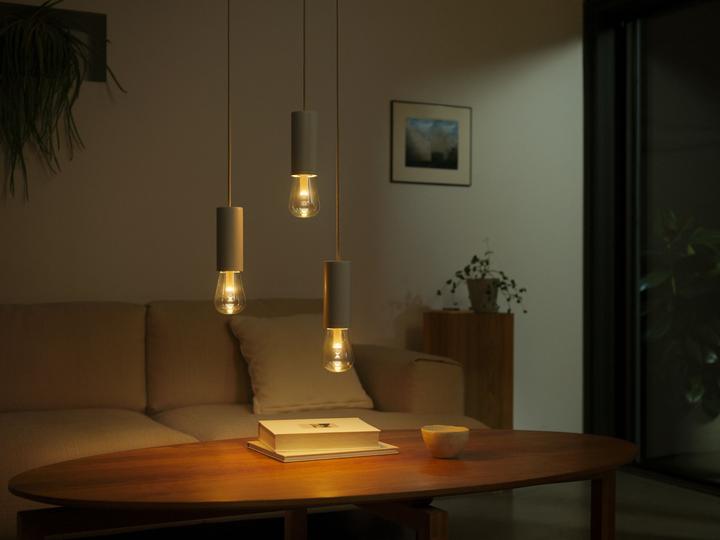 Actual product image Philips Hue White & Color Ambiance Lightguide Giant Edison (E27, 500 lm, 1x)