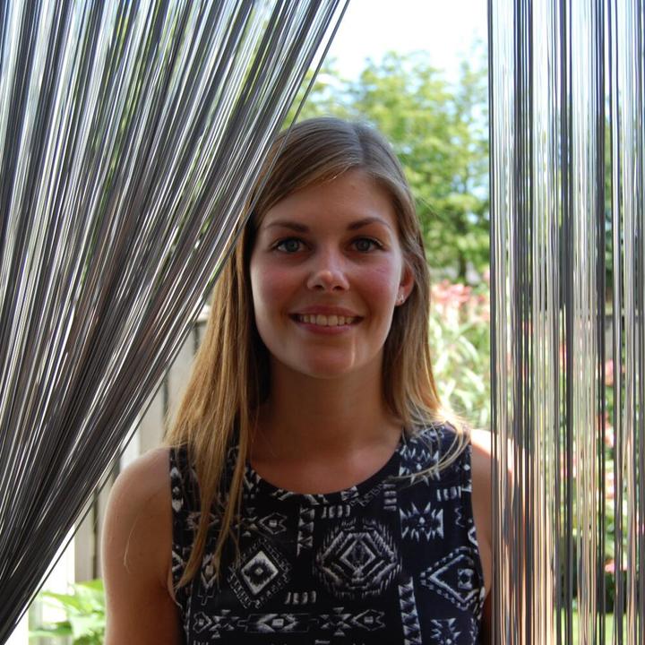 Actual product image Tenda Insect screen (90 x 210 cm)