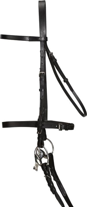Actual product image Fouganza Snaffle Schooling Leather