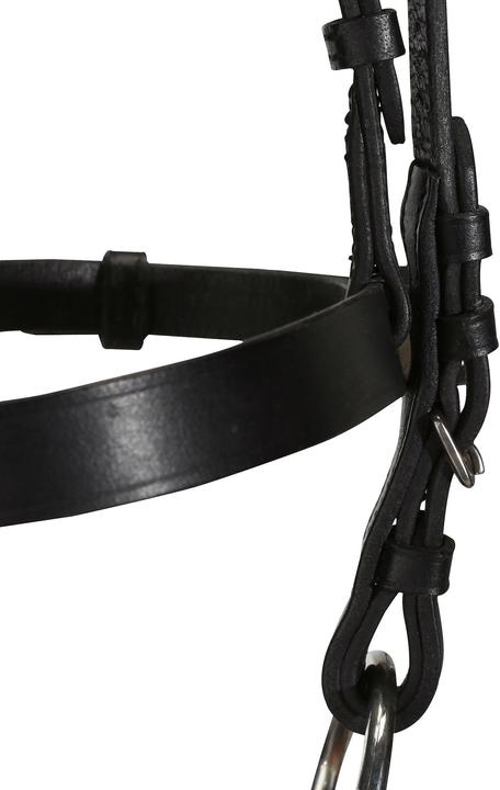 Actual product image Fouganza Snaffle Schooling Leather