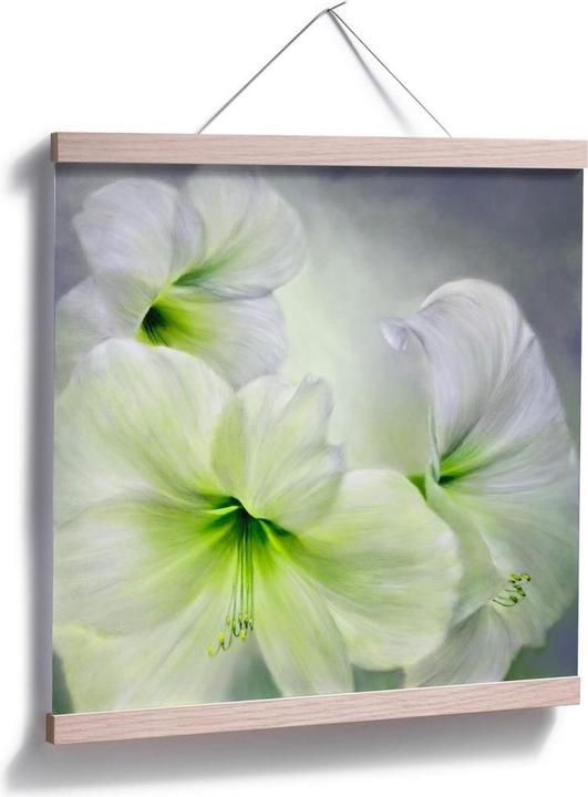 Immagine prodotto Trenddeko Amaryllis bianco (120 x 120 cm)