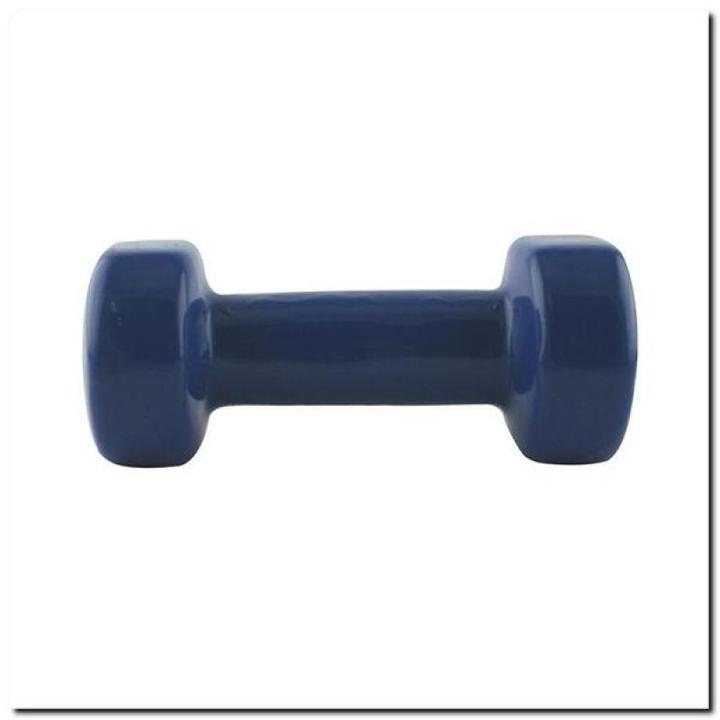Image du produit HMS Poids du vinyle 3kg 17023 17-47-005