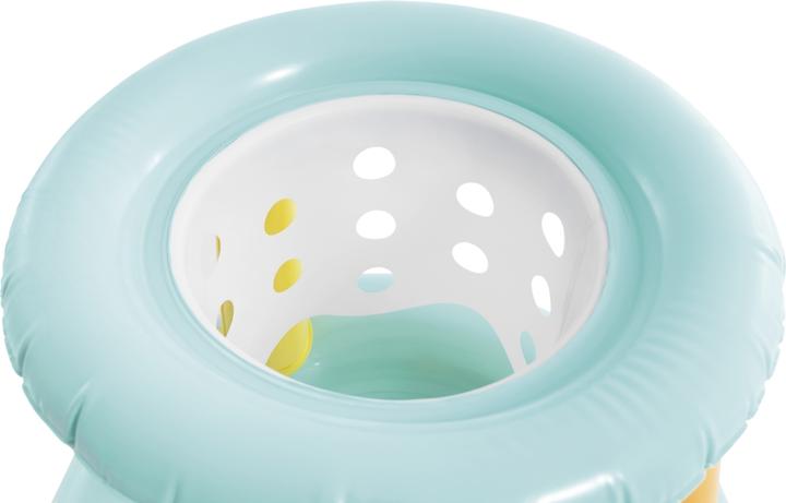 Actual product image Intex Water feature Floating Hoops