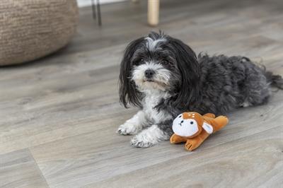 Actual product image Trixie Hondenspeelgoed Ree Pluche