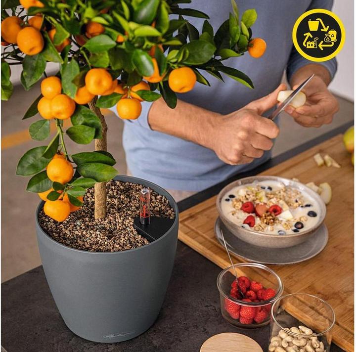 Produktbild Lechuza CLASSICO Color Eco 21 Komplettset Dunkelgrau/Grau (22 x 21.50 x 20.50 cm)