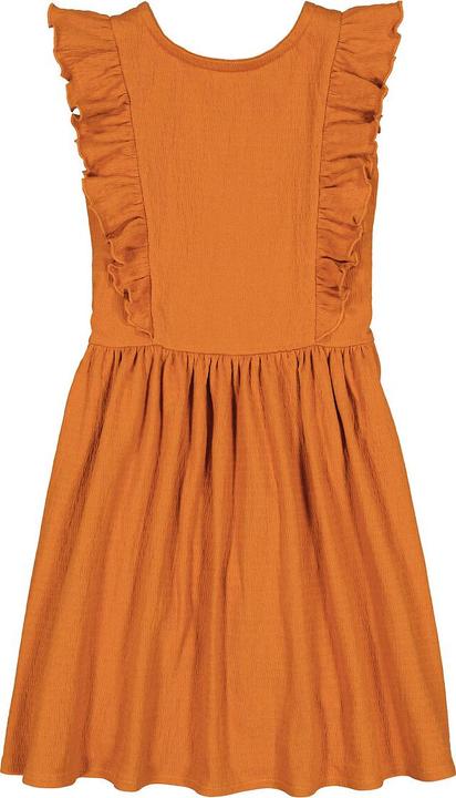 Image du produit La Redoute Collections Robe courte à volants (120 C)