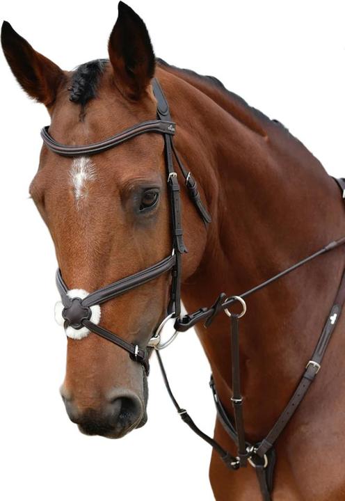 Produktbild Collegiate GrackleZaumzeug Leder