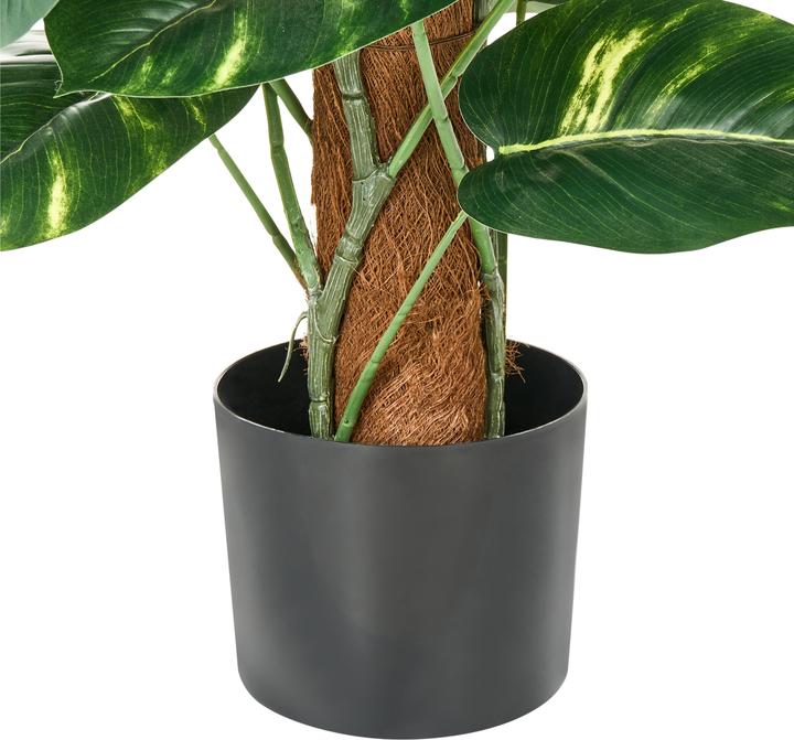 Immagine prodotto Beliani Dieffenbachia (152 cm)