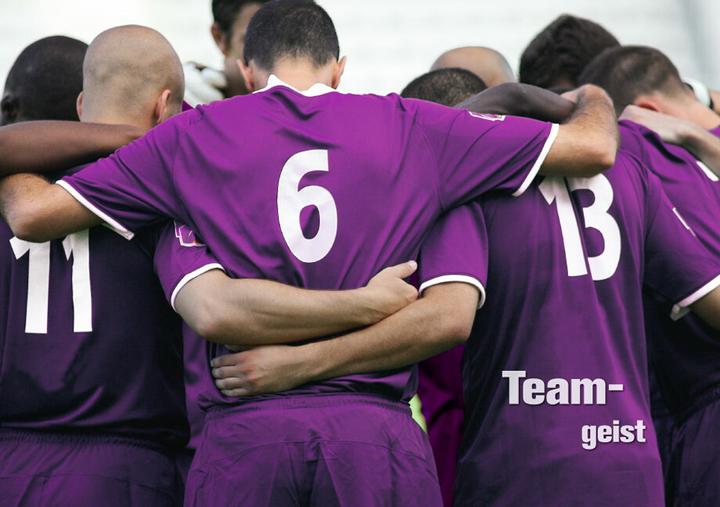 Produktbild Mentales Training im Leistungssport (Deutsch, Anna Droste, Eva Zier, Kai Engbert, Tanja Werts, 2011)