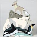 Actual product image Tender Leaf Toys Display polar animals