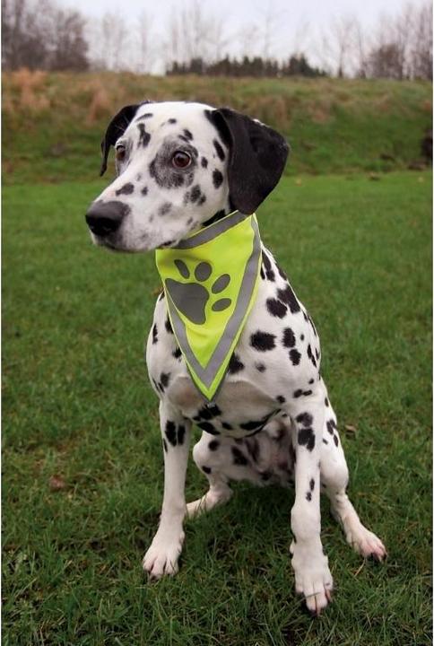 Image du produit Trixie Foulard Safer Life (L, XL, Bandana pour chien)