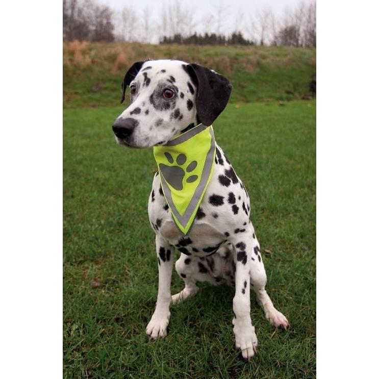 Trixie Safer Life Halstuch (S, M, Hundehalstuch), Hundebekleidung