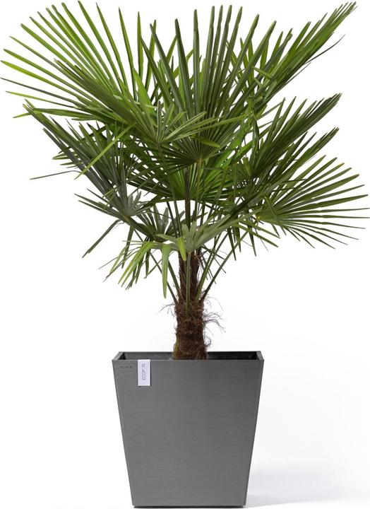 Immagine prodotto Ecopots Rotterdam Wheels (50 cm)