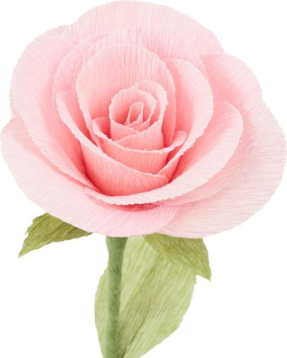 Produktbild Goertz Gärtnerkrepp (2.50 m)