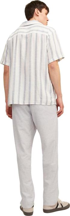 Actual product image Jack & Jones Summer Jogger (L)
