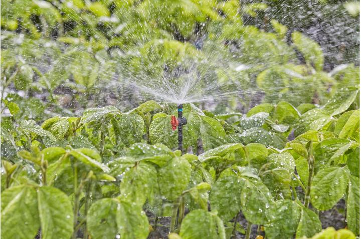 Immagine prodotto Gardena Ugello a spruzzo 360 (Gocciolatore per irrigazione a goccia)