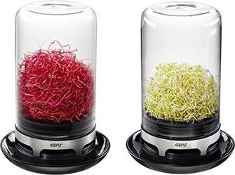 Actual product image GEFU Bivita rung glass