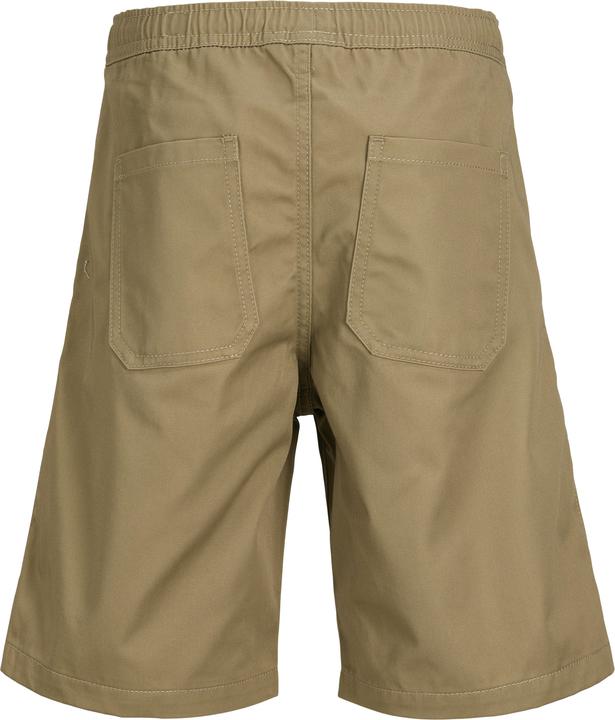 Actual product image Jack & Jones Relaxed Fit Loose Fit Shorts Loose Fit Shorts (164)