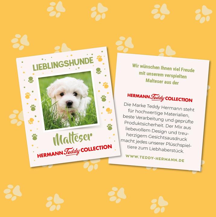 Produktbild Teddy Hermann Malteser (23 cm)