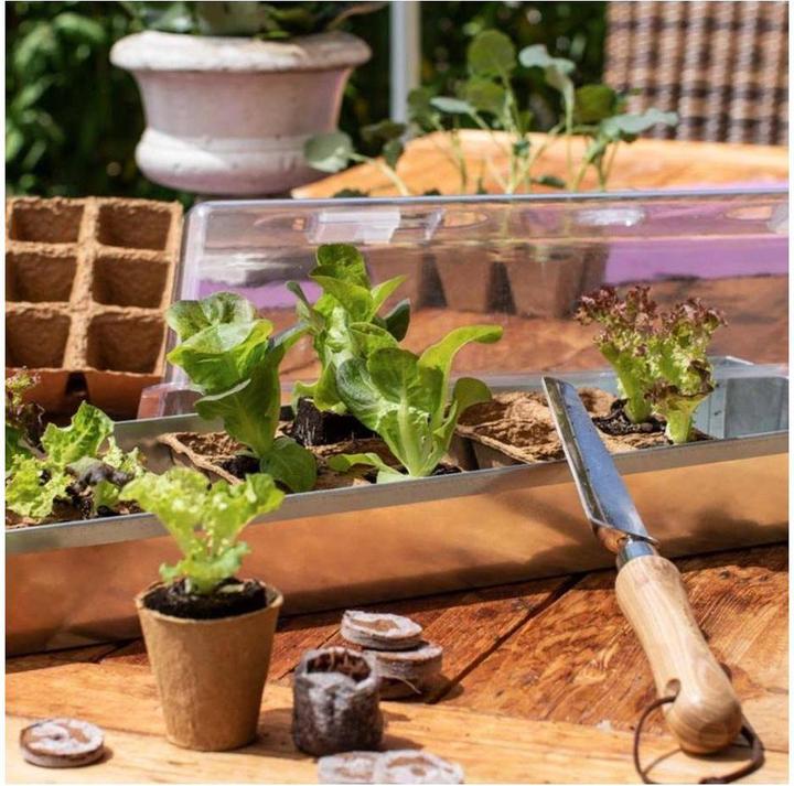 Produktbild Windhager Anzuchtschale