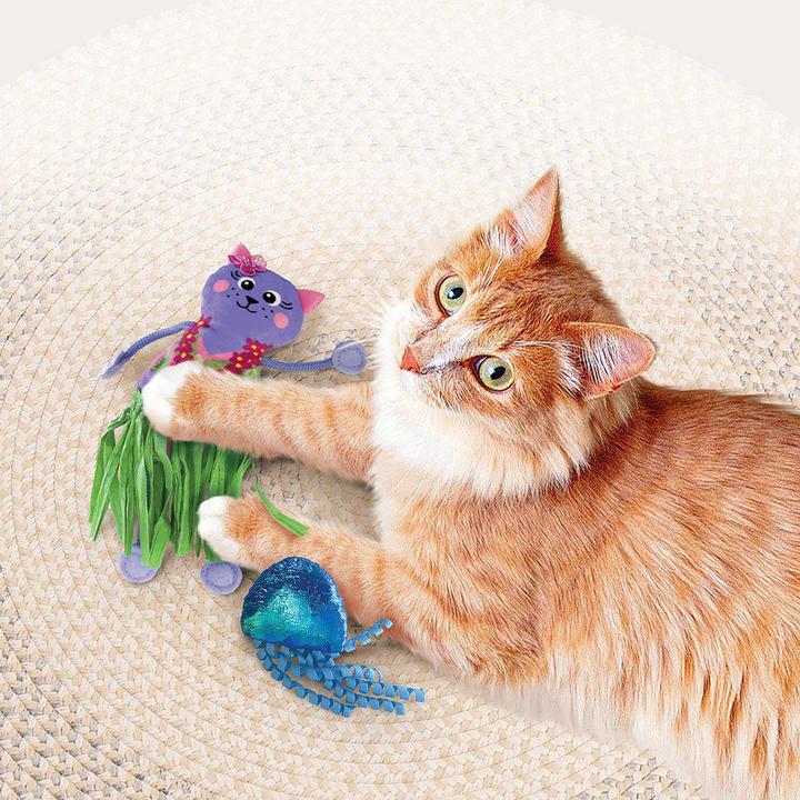 Image du produit KONG Tropics Hula 2-Pack (Jouets avec herbe à chat)