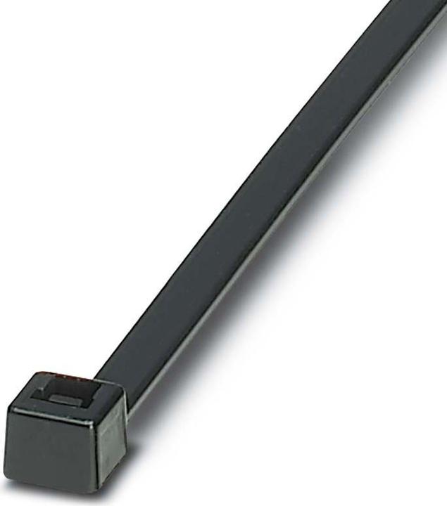 Immagine prodotto Phoenix Contact Fascetta (Fascette in plastica, 290 mm, 100 pz.)