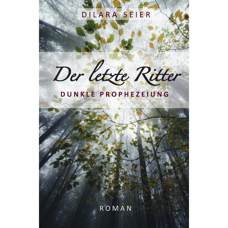 Der letzte Ritter, Belletristik von Dilara Seier