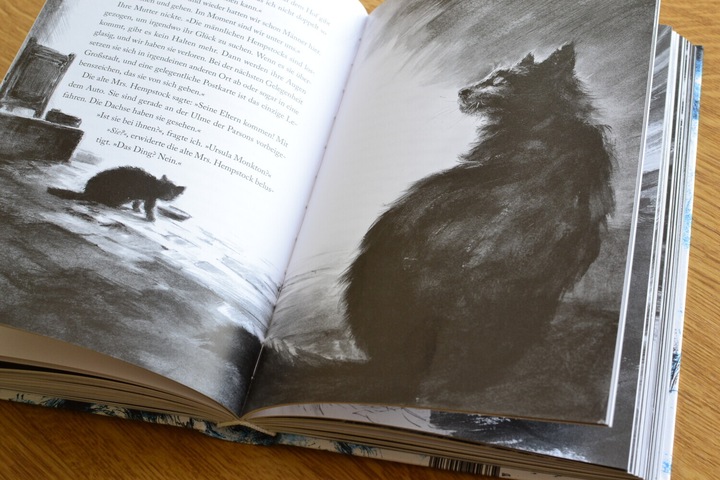 Produktbild Der Ozean am Ende der Strasse (Deutsch, Neil Gaiman, Christine Strüh, 2021)