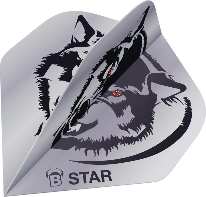 Bull's Vols B-Star