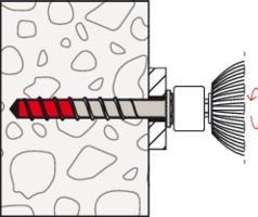 Actual product image Fischer 558246 (50 Screws per piece)