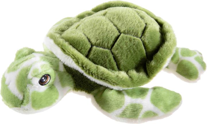 Actual product image Heunec BOTTLE 2 BUDDY turtle, approx. 24cm (7 cm)