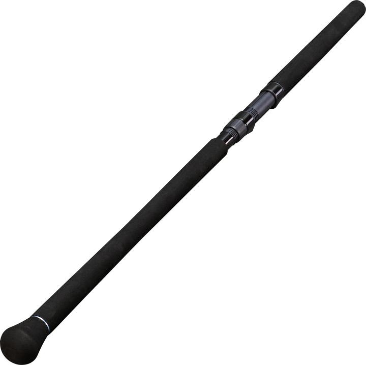 Immagine prodotto Caperlan Bigfigh 5 (Set da pesca, 166.50 cm)