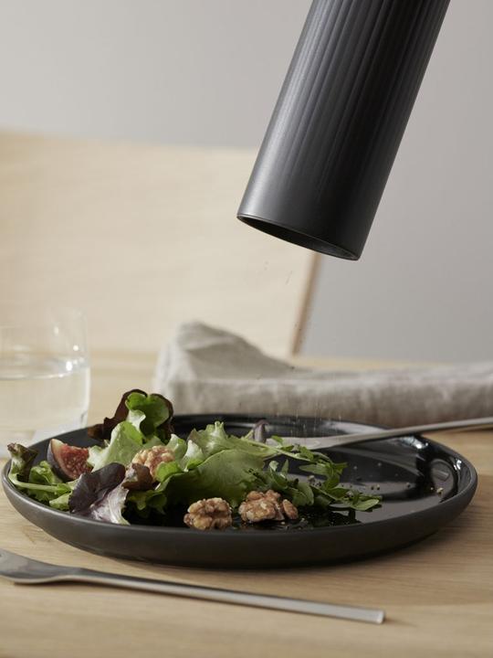 Image du produit Stelton Moulin à poivre Pleat