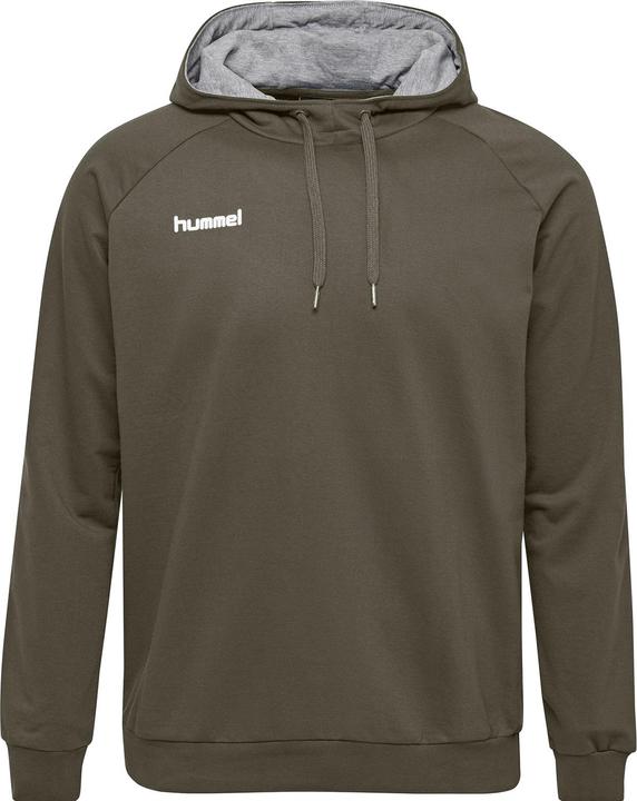 Produktbild hummel Go Kids Cotton Hoodie (176)