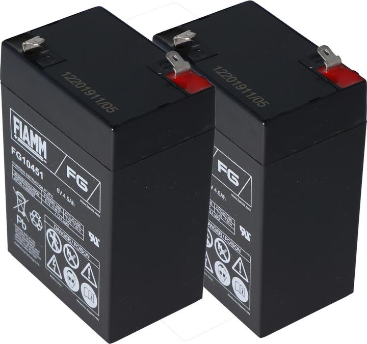 Fiamm Akku APC RBC1 Akku, APC Back-UPS, Modell BK200BI (6 V, 4.50 Ah)