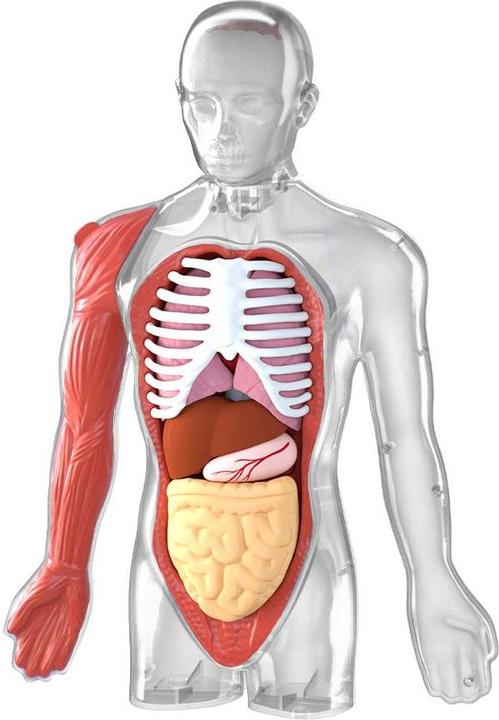 Actual product image Science Can My Body - a knowledge journey with quiz and sound/ My Body Voice Pedia (German, Dutch, English, Italian, French, Spanish)