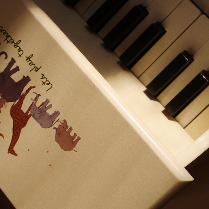 Immagine prodotto Konges Slojd Pianoforte a coda Safari