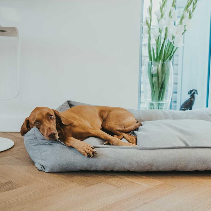 Actual product image Hunter Eiby (Dog)