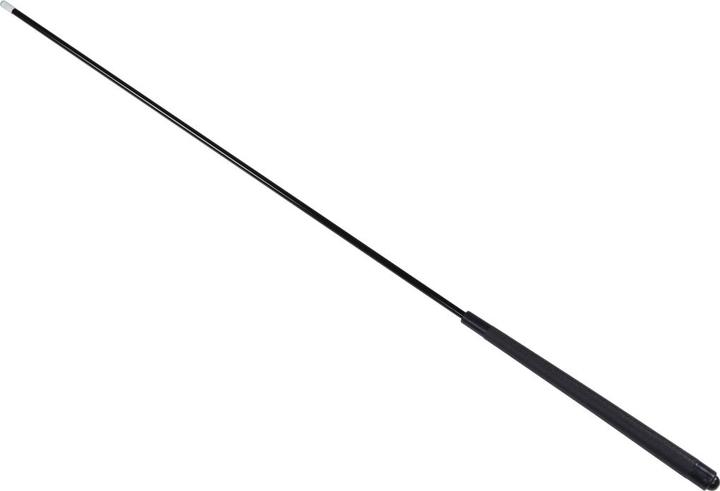 Image du produit Kübler Sport Queue de billard en fibre de verre