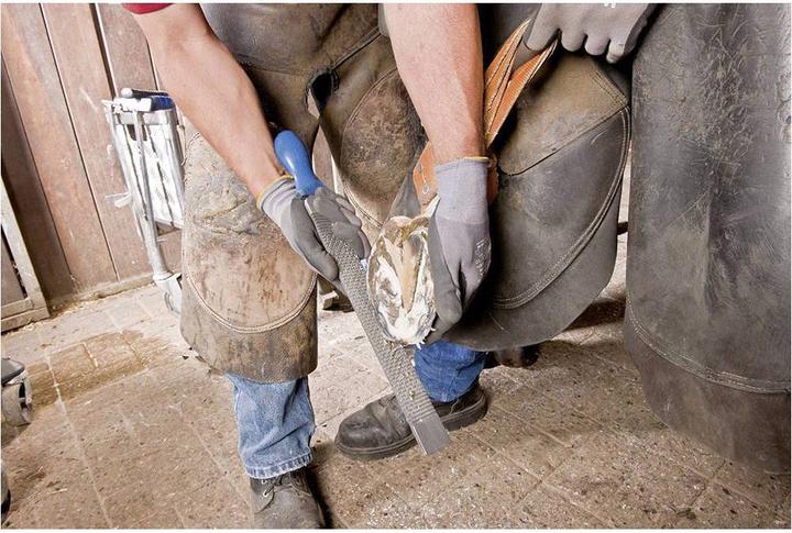 Produktbild Pferd 13180351 Hufhobel Länge 350mm 1St. (350 mm)