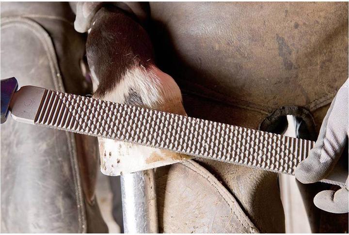 Produktbild Pferd 13180351 Hufhobel Länge 350mm 1St. (350 mm)