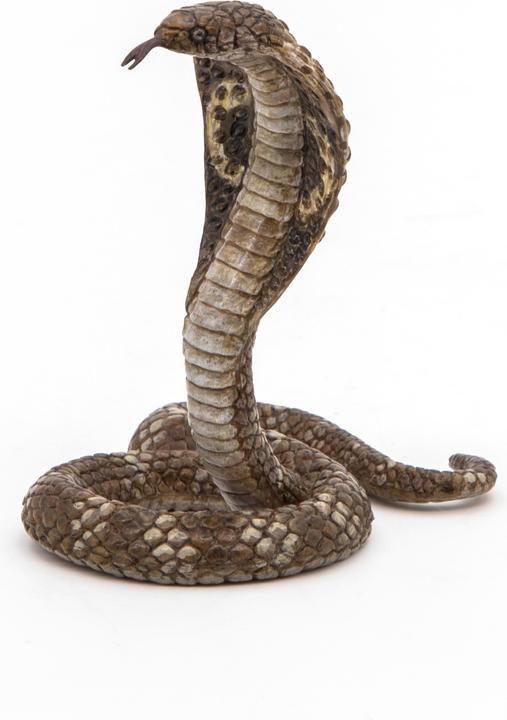 Produktbild Papo Königskobra
